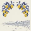 Les citrons de Menton